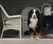 20190505_082519.jpg
