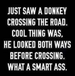 SmartAss.png