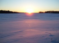 Snowy Scene.jpg