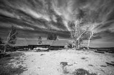 black and white of the white.jpg