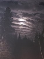20201128_191225.jpg