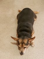 20201130_213510.jpg