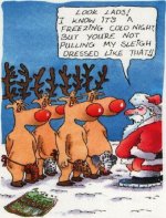 20 Supper funny santa claus cartoon pictures photostricks.blogspot.com  15.jpg