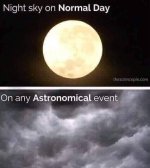 FB_IMG_1608693710801.jpg