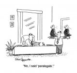 FB_IMG_1610313211641.jpg FB_IMG_1610313211641.jpg