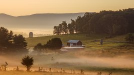 Cave Ridge Farm-Summer-20.jpg