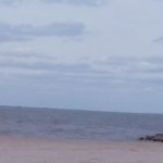 20210331_162521.jpg 20210331_162521.jpg