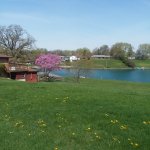 20210419_113309.jpg 20210419_113309.jpg