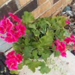 20210618_180702.jpg 20210618_180702.jpg