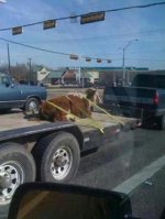 DoingItWrong15.jpg