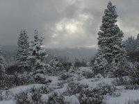 P3220020 B.JPG P3220020 B.JPG