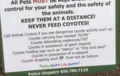 CoyoteWarningTheFinePrint.JPG