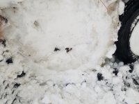 2022-01-07 Sprocket - 2.jpg