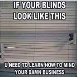 FB_IMG_1642974696989.jpg