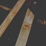 eye of wood.jpg eye of wood.jpg