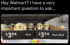 1646850313027.png