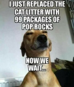1647090409729.png