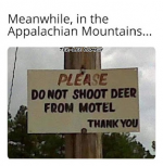 1647090901863.png