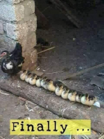 1647090954882.png