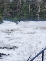 20220325_123022.jpg 20220325_123022.jpg