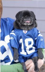 fball.jpg