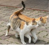 walk.jpg