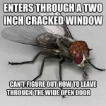 1658672061097.png