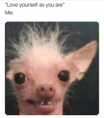 1658672193718.png