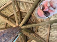 tempImagej3fe3o.jpg tempImagej3fe3o.jpg