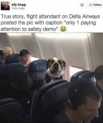 funny91.jpg