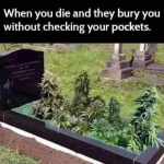 1660239114253.png