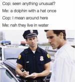 1660404518657.png