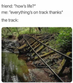 1660746991665.png