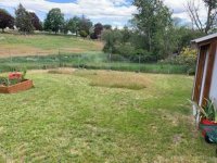 grass1.jpg grass1.jpg