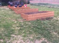 raised beds 2.jpg