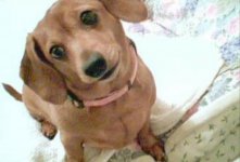 20220923_190800.jpg 20220923_190800.jpg