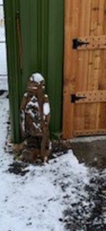 woody.jpg