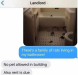 1668096988671.png