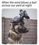 1668263828032.png