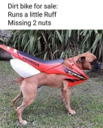1668267794831.png
