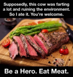 1668350871995.png