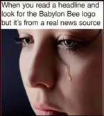 1668351136543.png