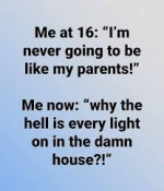 1668351443491.png