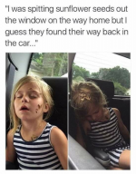1668874362937.png