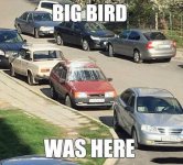 z-funny-109.jpg