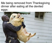 1669218349956.png