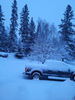 20230317_080548.jpg 20230317_080548.jpg