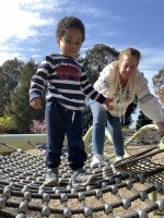 IMG_7946.jpeg IMG_7946.jpeg