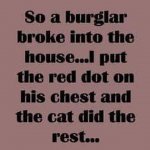 funny114.jpg