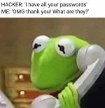 FB_IMG_1686747351499.jpg